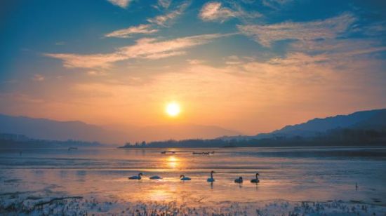 黃河冬之晨。