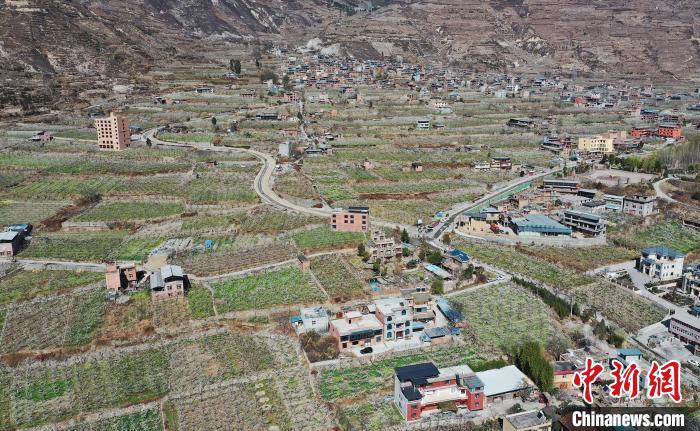 潔白的李花與村寨交相輝映，勾勒出一幅美麗的和諧生態(tài)畫卷?！『吻搴?攝