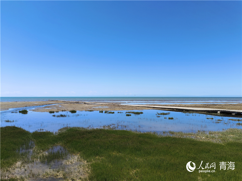 青海湖仙女灣。人民網(wǎng) 張莉萍攝