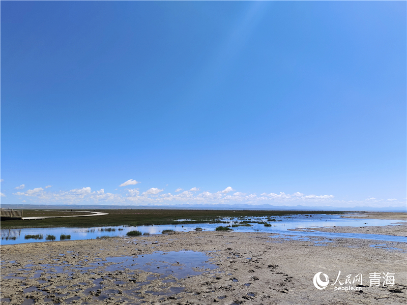   青海湖仙女灣。人民網(wǎng) 張莉萍攝