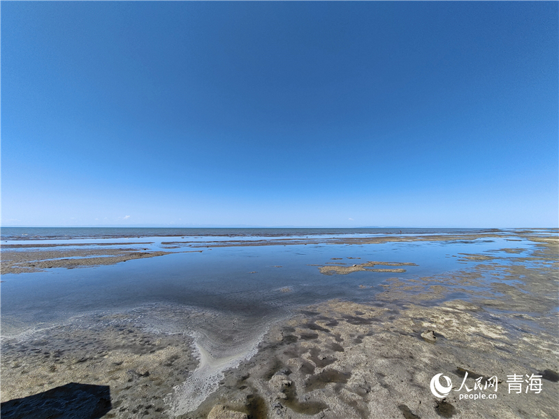   青海湖仙女灣。人民網(wǎng) 張莉萍攝