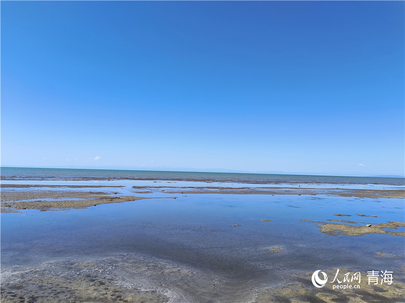   青海湖仙女灣。人民網(wǎng) 張莉萍攝