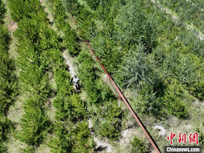 航拍建行青海省分行綠化區(qū)施工隊(duì)隊(duì)長(zhǎng)盧占祥正在巡護(hù)綠化區(qū)?！∑钤鲚?攝