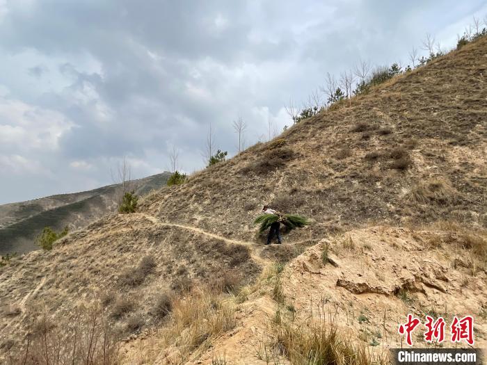 資料圖為建行青海省分行綠化區(qū)施工隊(duì)隊(duì)員人工運(yùn)樹苗?！〗ㄐ星嗪Ｊ》中泄﹫D