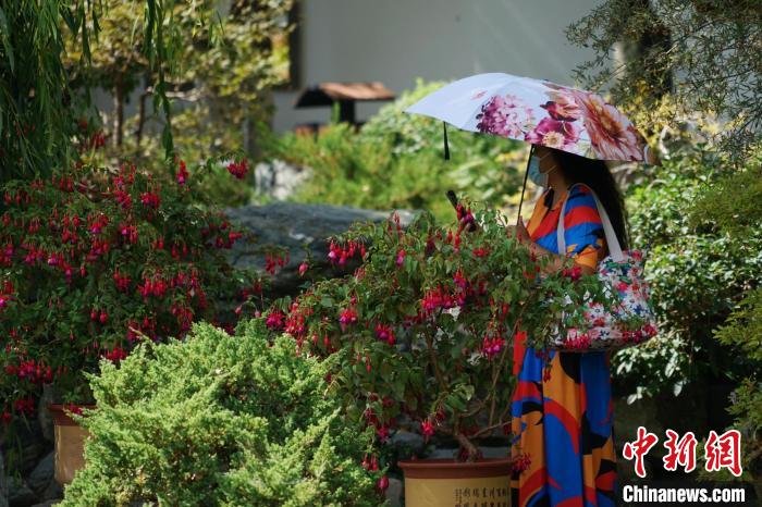 圖為市民在西寧園林植物園內(nèi)賞花拍照?！●R銘言 攝