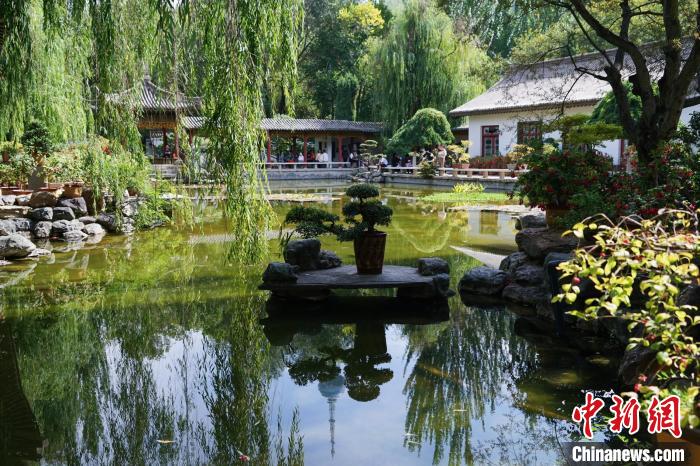 圖為西寧園林植物園秋日風(fēng)景別有韻味?！●R銘言 攝