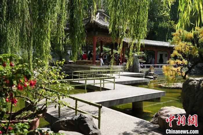 圖為西寧園林植物園秋日風(fēng)景別有韻味?！●R銘言 攝