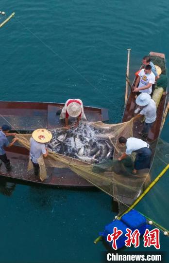 捕魚現(xiàn)場?！≈鬓k方供圖