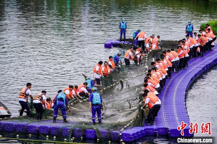 捕撈現(xiàn)場?！≈鬓k方供圖