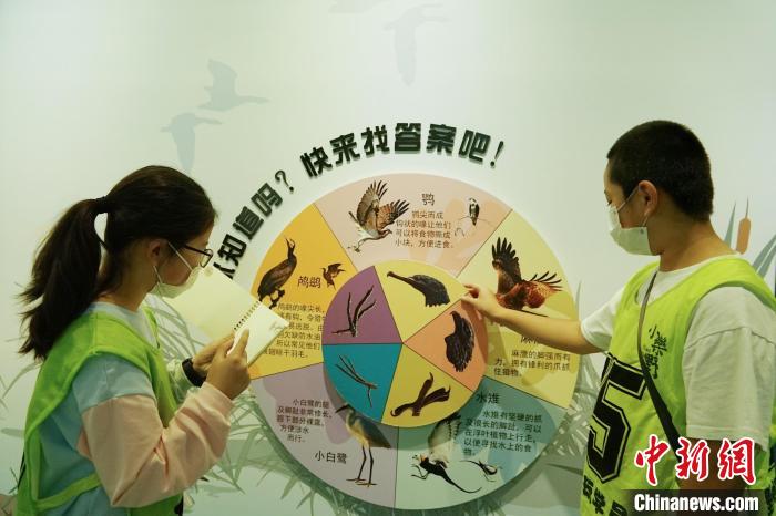 圖為小朋友在青海西寧湟水國家濕地公園科普館內(nèi)參觀學(xué)習(xí)。　馬銘言 攝