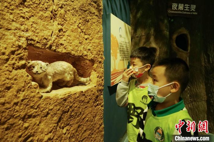 圖為小朋友在青海西寧湟水國家濕地公園科普館內(nèi)參觀學(xué)習(xí)。　馬銘言 攝