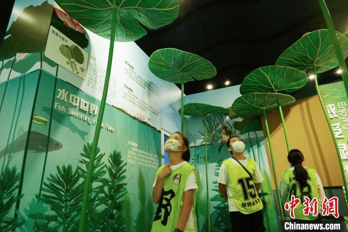 圖為小朋友在青海西寧湟水國家濕地公園科普館內(nèi)參觀學(xué)習(xí)?！●R銘言 攝