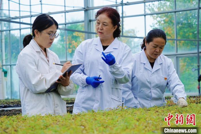 圖為張錦梅(中)與同事在討論數(shù)據(jù)。馬銘言 攝