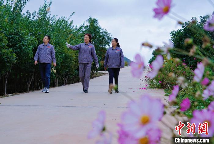 圖為張錦梅(中)與同事在西寧北山查看丁香樹。　馬銘言 攝