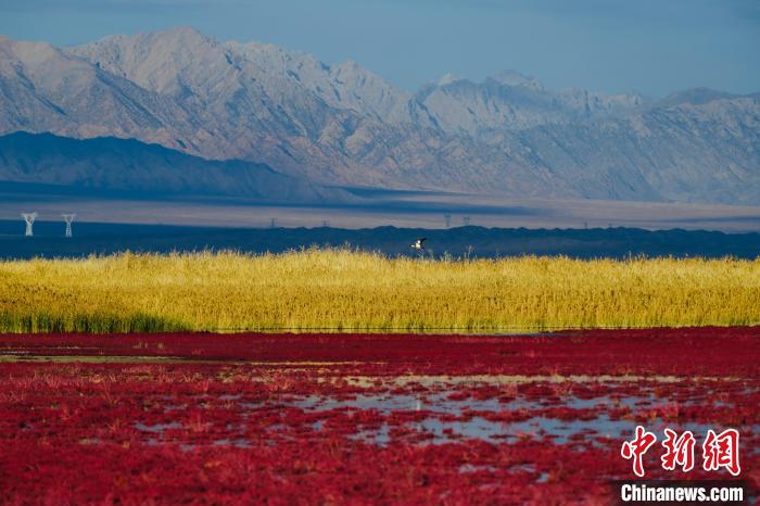 圖為柴達(dá)木盆地可魯克湖?！」?攝