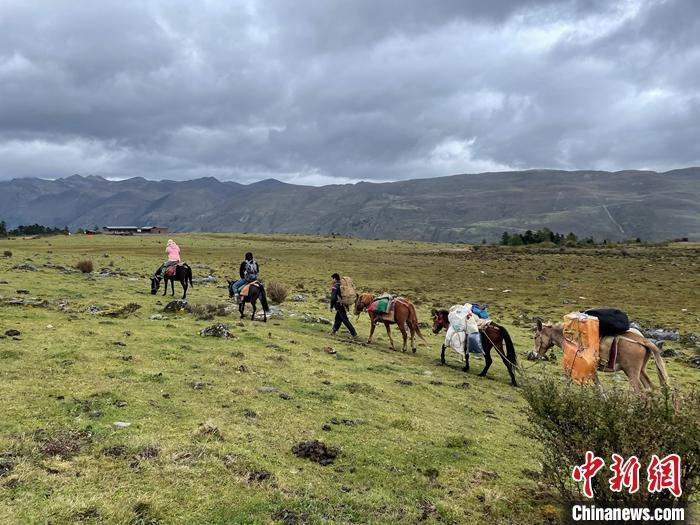 圖為9月26日游客騎馬領(lǐng)略尼汝村高原牧場風(fēng)光。 <a target='_blank' href='/'><p  align=