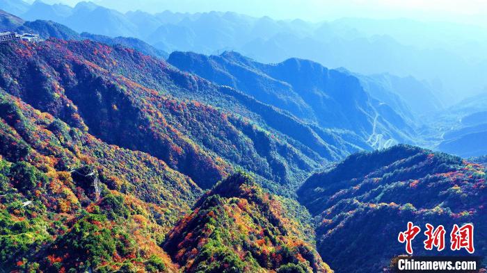 巴山大峽谷彩林迎來最佳觀賞期?！埰?攝