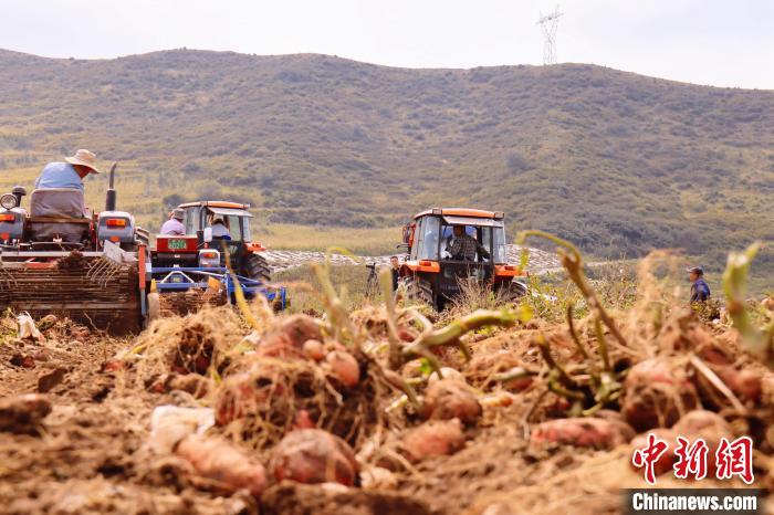 青海東部農(nóng)業(yè)區(qū)：“一分川、一分水、八分山”里“刨金記”