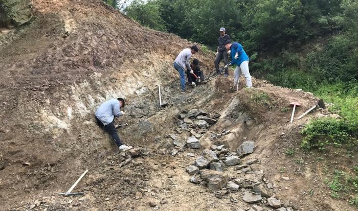 2018年玉海翼角魚野外發(fā)掘采集現(xiàn)場。　蓋志琨 攝