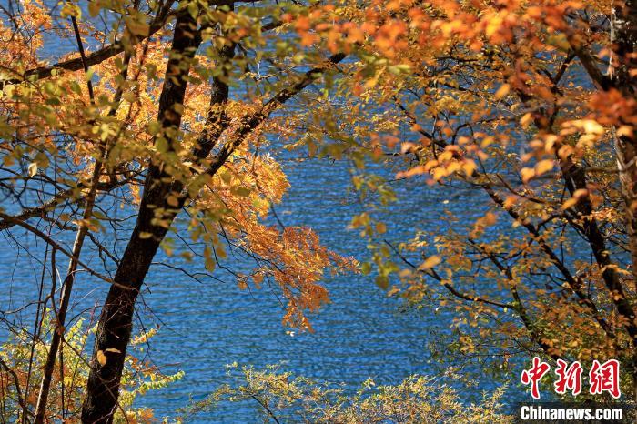 松坪溝風光?！⑼?攝