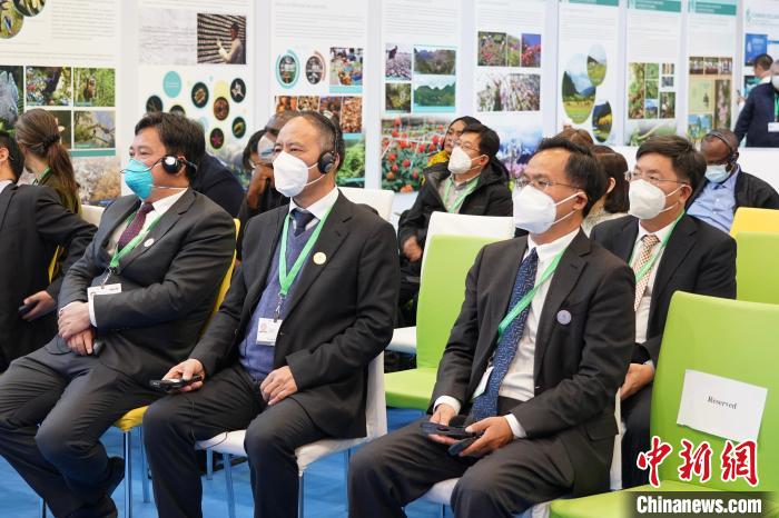 圖為極小種群物種和生物多樣性保護(hù)邊會(huì)現(xiàn)場(chǎng)?！≡颇鲜×謽I(yè)和草原局供圖