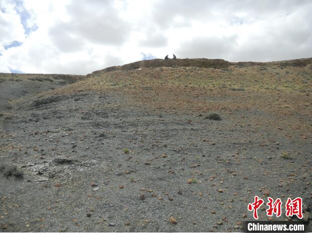 圖為本次研究的藏南曲布剖面二疊紀(jì)末期黑色頁巖?！∧瞎潘?供圖