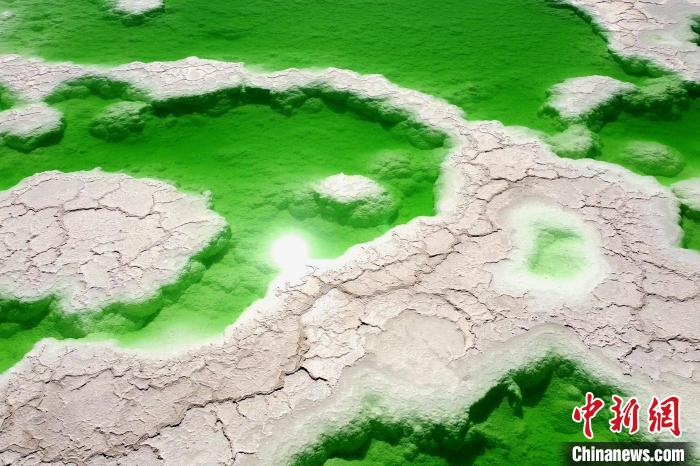 青?！拔鞔箝T”茫崖多舉措蓄能鹽湖產(chǎn)業(yè)發(fā)展