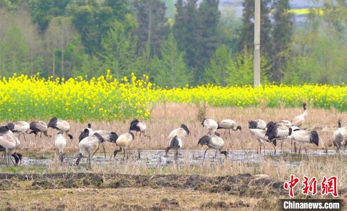 休息補給。　天全縣融媒體中心 供圖