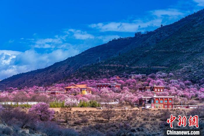 美麗的鄉(xiāng)村畫卷?！『涡秀?攝