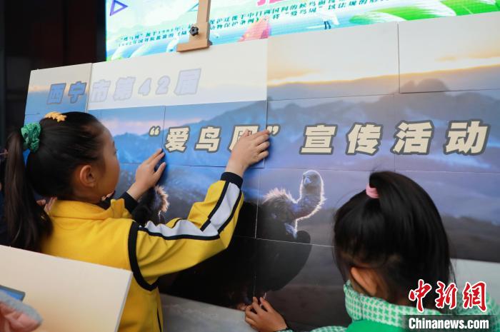 圖為學生通過拼圖游戲了解鳥類知識?！●R銘言 攝