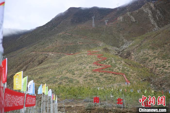 圖為拉薩南北山綠化工程拉薩曲水縣才納村5號(hào)片區(qū)?！∝暣_ 攝