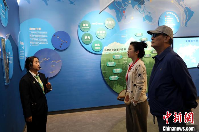 圖為臺商在祁連山國家公園生態(tài)科普館內(nèi)聆聽講解?！⊙Φ?攝