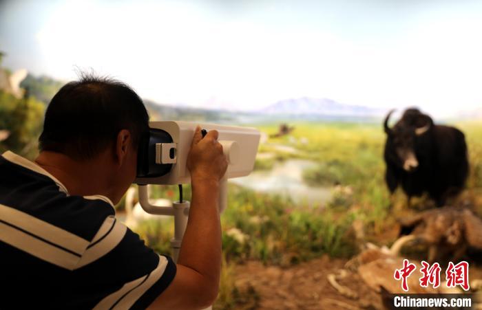 圖為臺商觀看祁連山國家公園生態(tài)科普館內(nèi)生態(tài)場景?！⊙Φ?攝