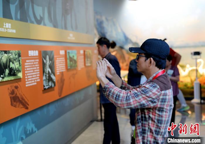 圖為臺商在祁連山國家公園生態(tài)科普館觀看墻面藝術(shù)圖文?！⊙Φ?攝