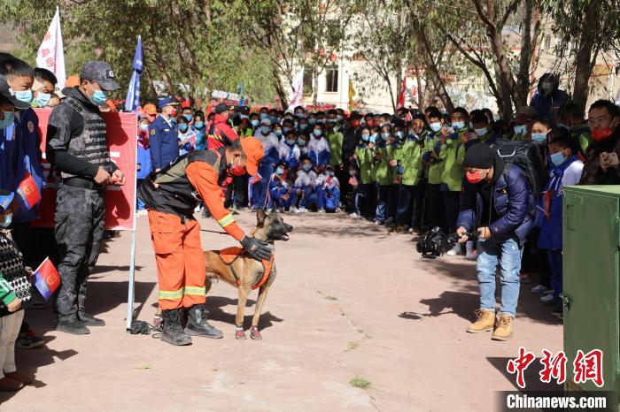 圖為搜救犬服從和箱體搜救演練?！≮w琳 攝