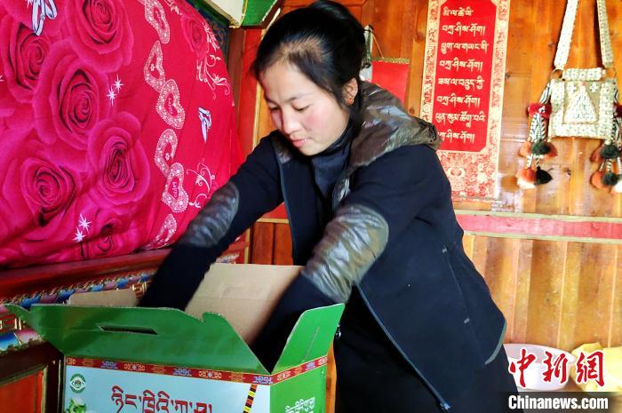 圖為通麥村村民巴桑拉姆把精心挑選的蘋果裝箱。　貢桑拉姆 攝