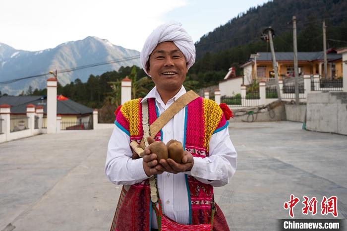 1月29日，京都村委會主任阿胖正在展示該村種植的獼猴桃。<a target='_blank' ><p  align=