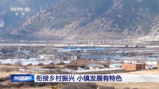 種蘑菇、養(yǎng)駱駝...。。特色產(chǎn)業(yè)助力鄉(xiāng)村振興走新路