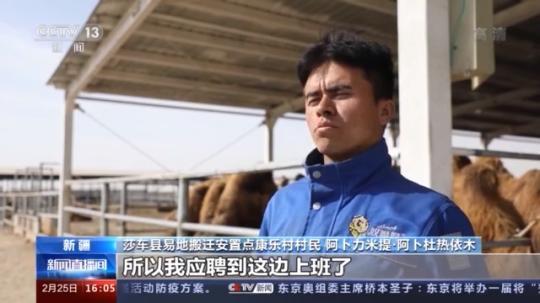 種蘑菇、養(yǎng)駱駝...。。特色產(chǎn)業(yè)助力鄉(xiāng)村振興走新路