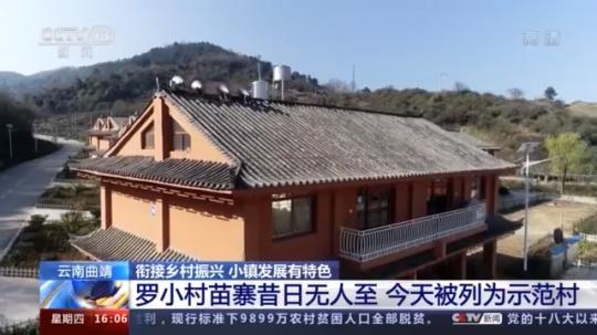 種蘑菇、養(yǎng)駱駝...。。特色產(chǎn)業(yè)助力鄉(xiāng)村振興走新路