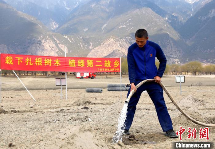 林芝市巴宜區(qū)森林消防中隊(duì)志愿服務(wù)隊(duì)澆水灌溉?！∥骼@拉翁 攝