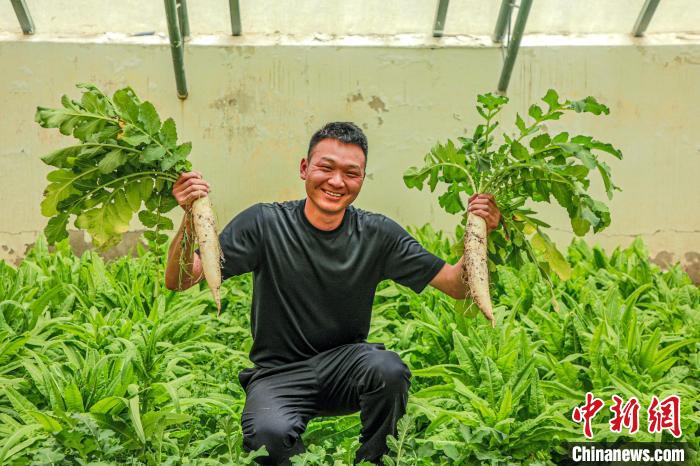 西藏阿里門(mén)士邊境派出所民警兼職大棚種植、豐富牧民餐桌