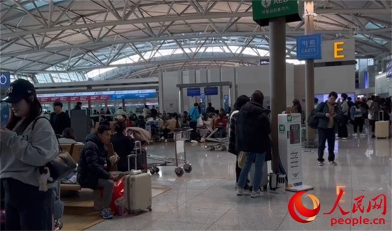 11月29日，繁忙的仁川機場。人民網(wǎng) 李帆攝