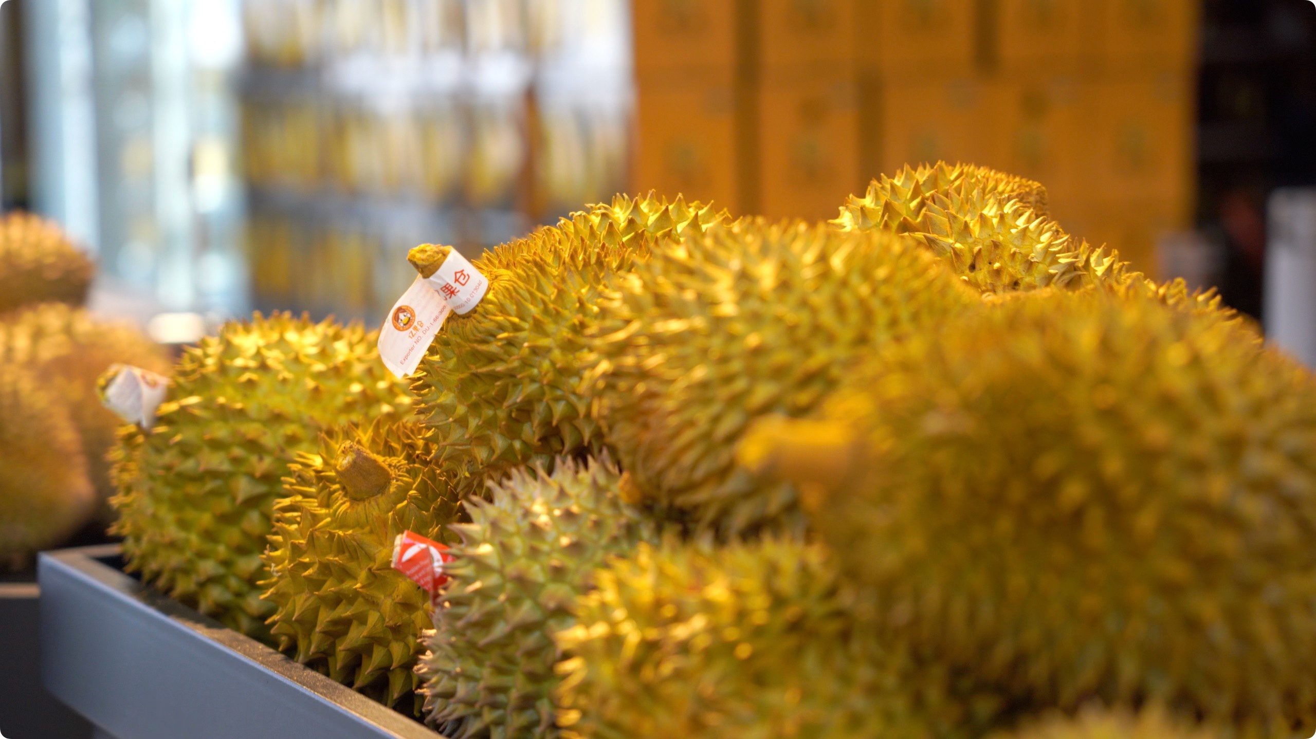 5月初，人民網(wǎng)記者申佳平攝