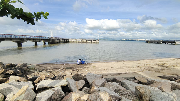 深圳紅樹林灘涂，留給了孩子們親近自然的空間。人民網(wǎng)記者 李彤?dāng)z