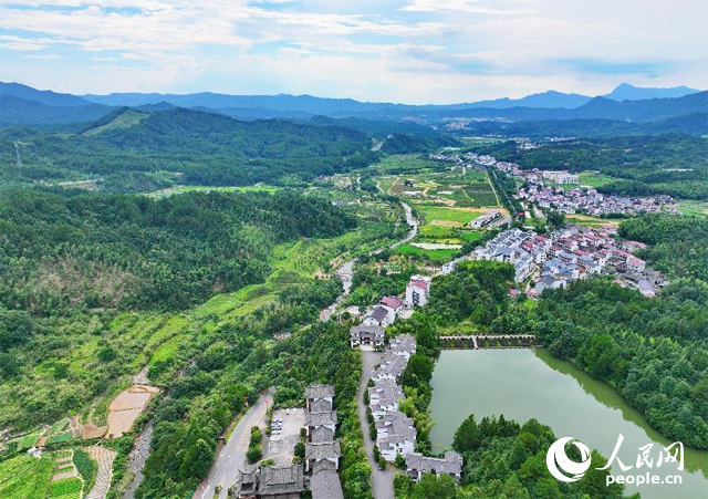 資溪縣森林資源豐富，森林覆蓋率達(dá)87.7%，有林地資源168萬畝。人民網(wǎng) 朱海鵬攝