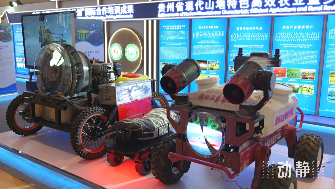 展示成果分享經(jīng)驗(yàn)，中國(guó)—東盟教育交流周深化合作共創(chuàng)未來(lái)！