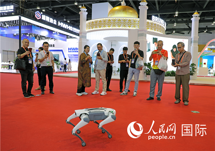 東博會(huì)上，觀眾正在參觀一只機(jī)器狗。綠色能源、新能源汽車(chē)、綠色農(nóng)產(chǎn)品等成為本屆東博會(huì)觀眾關(guān)注的焦點(diǎn)。人民網(wǎng)記者 趙益普攝