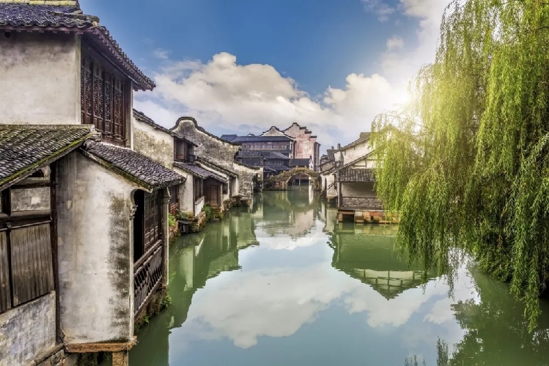 烏鎮(zhèn)動(dòng)觀察｜這個(gè)字，牽起國(guó)際交流互鑒之紐帶