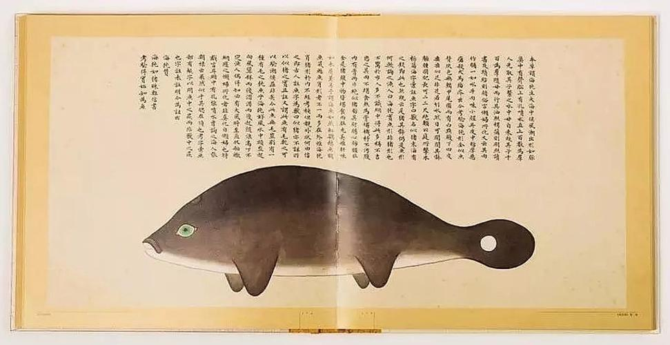 文化中國(guó)行 長(zhǎng)江之歌丨微笑的江豚，從四千年前“游”來(lái)